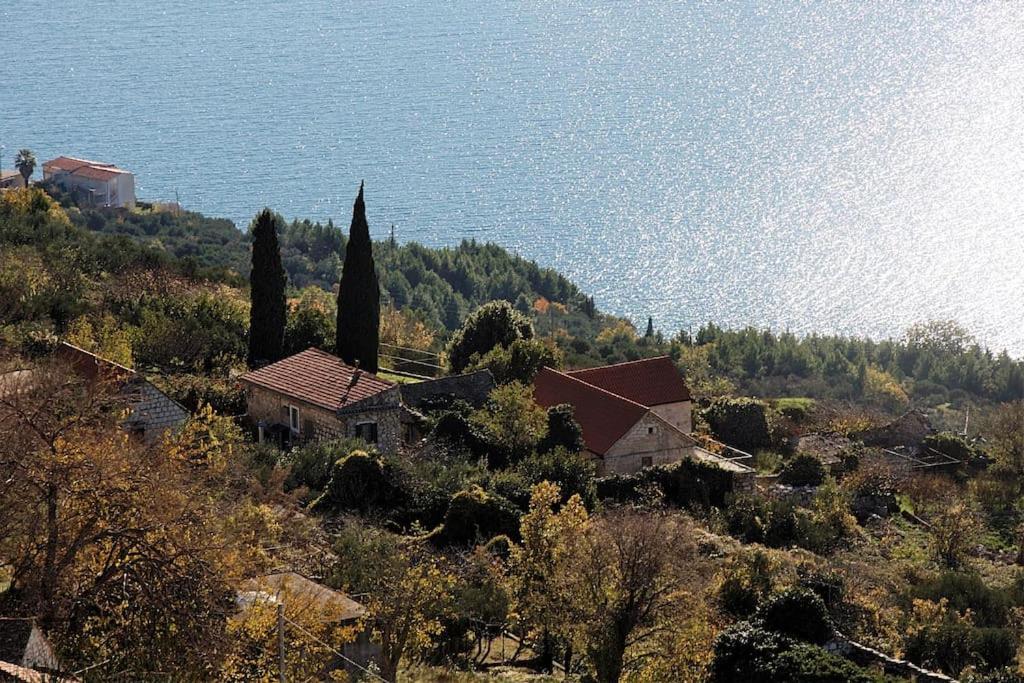 Art House Old Village Jesenice  Ngoại thất bức ảnh